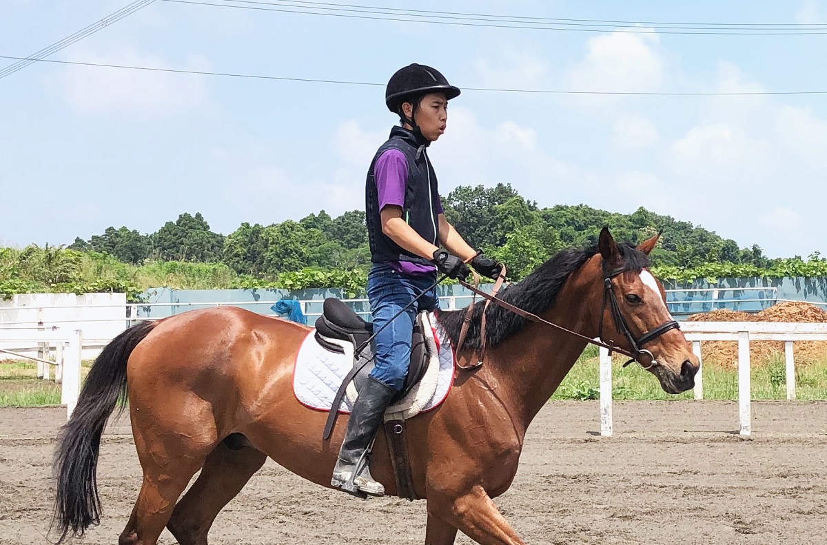 初☆駈歩練習＆Newメンバー！ : 国際馬事学校ブログ