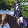 日本馬術連盟公認　騎乗者資格