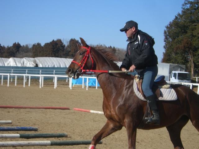 �f�r�b�h����̋R��p�B