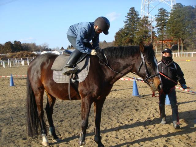 �̌���n�B�����L�[���͓���c�B